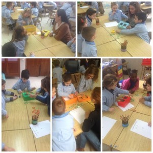 mosaico taller